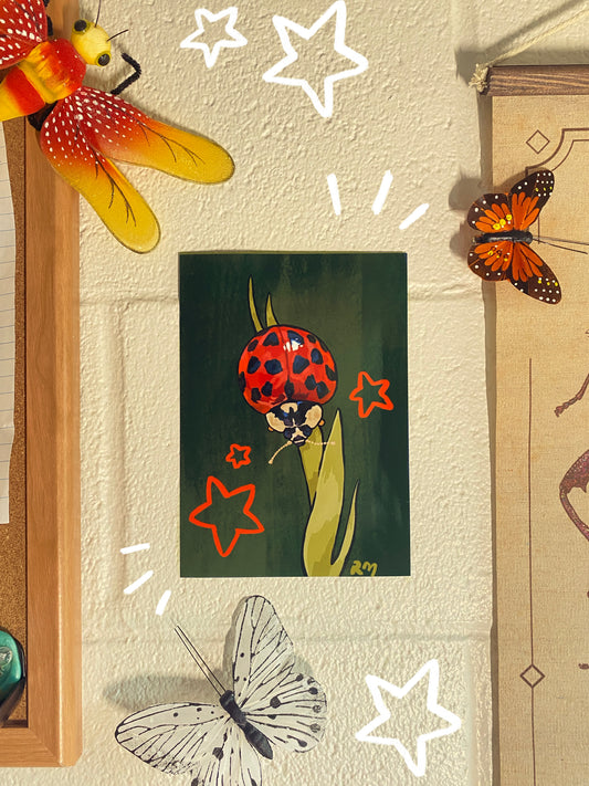 Harlequin Ladybug Print