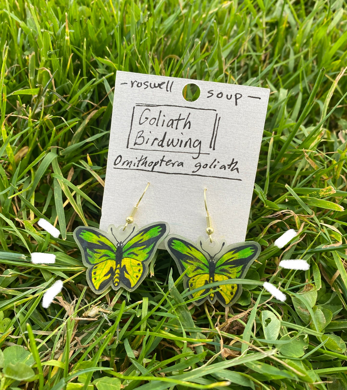 Goliath Birdwing Earrings