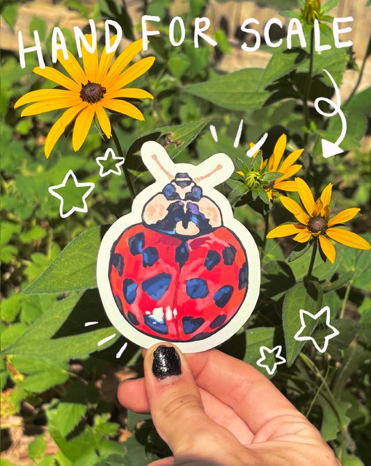 Ladybug Sticker (Waterproof)