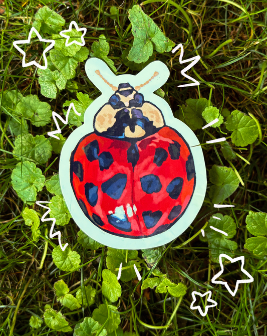 Ladybug Sticker (Waterproof)