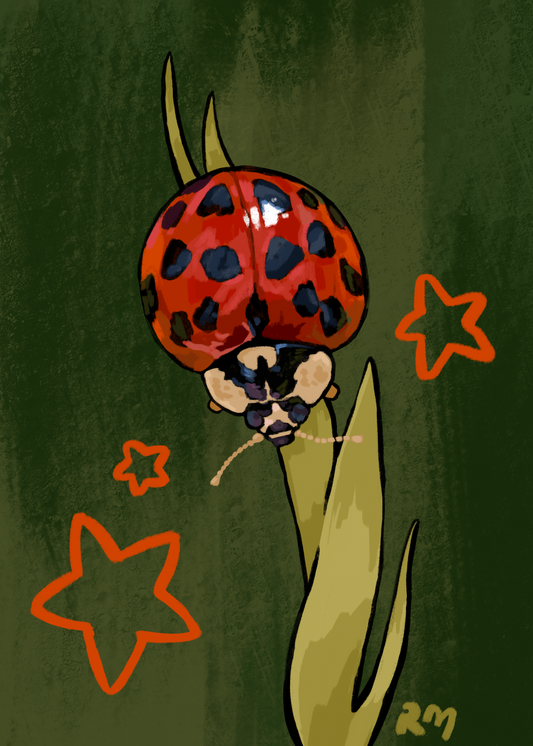 Harlequin Ladybug Print