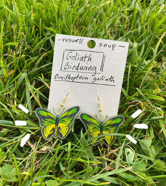 Goliath Birdwing Earrings