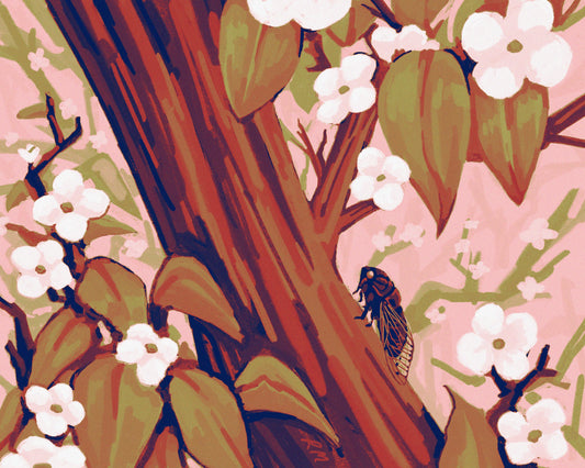 Cicada On A Dogwood Tree